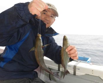 土佐安芸のハマちゃん