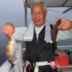 土佐安芸のハマちゃんの釣果