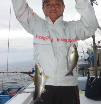 土佐安芸のハマちゃんの釣果