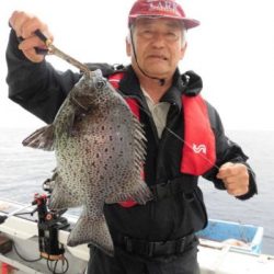 土佐安芸のハマちゃんの釣果