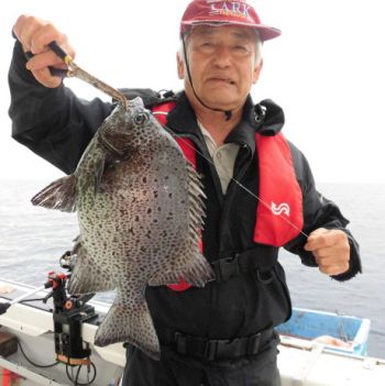 土佐安芸のハマちゃんの釣果