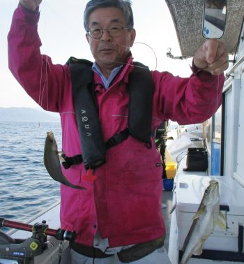 土佐安芸のハマちゃんの釣果