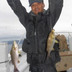 土佐安芸のハマちゃんの釣果