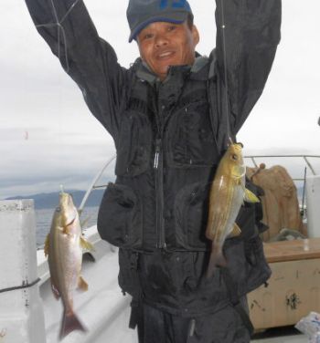 土佐安芸のハマちゃんの釣果