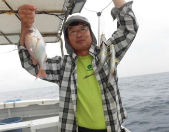 土佐安芸のハマちゃんの釣果