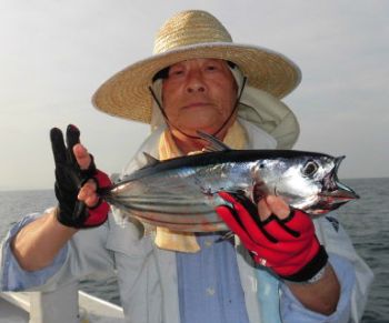 土佐安芸のハマちゃんの釣果