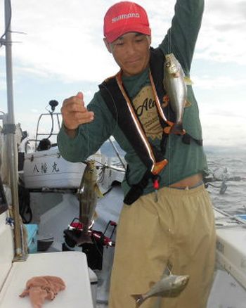 土佐安芸のハマちゃんの釣果