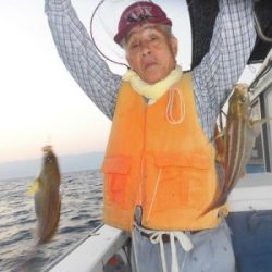 土佐安芸のハマちゃんの釣果