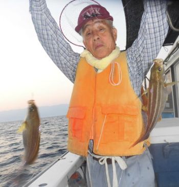 土佐安芸のハマちゃんの釣果