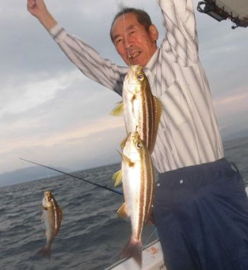 土佐安芸のハマちゃんの釣果