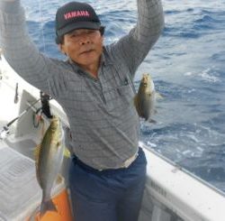 土佐安芸のハマちゃんの釣果