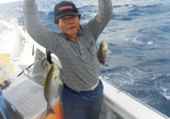 土佐安芸のハマちゃんの釣果