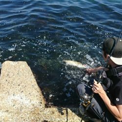 久しぶりの釣果