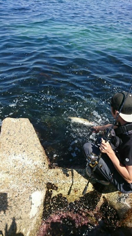 久しぶりの釣果