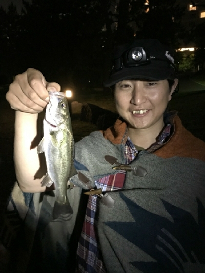 お台場で夜釣り