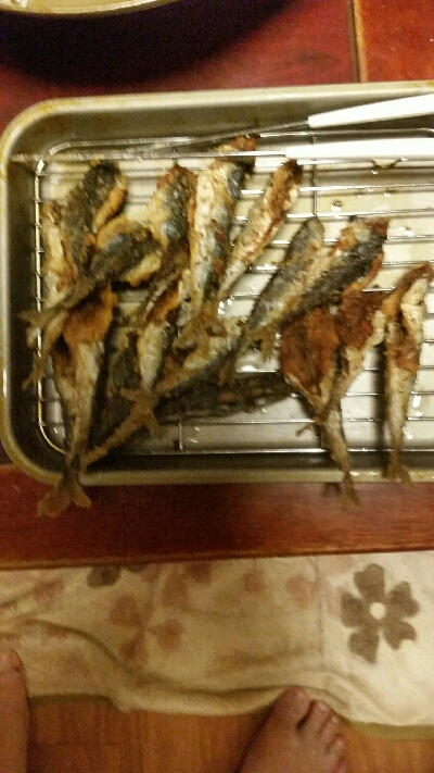 6月にカレイが釣れました