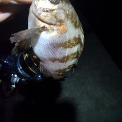 良いサイズが出ない！