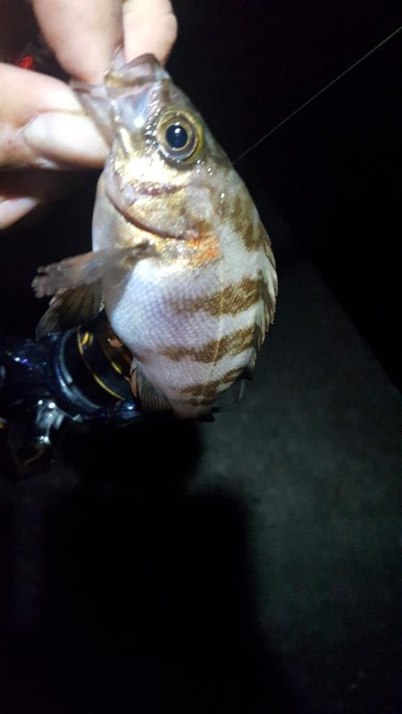 良いサイズが出ない！