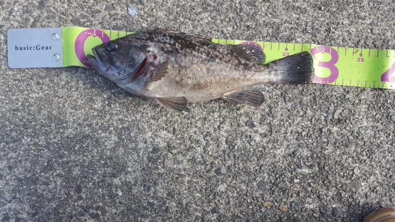 デイメバリング