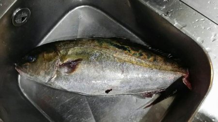 雨のなか釣り堀へ