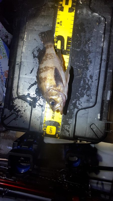 短時間メバリング