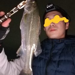 またもやチーバス