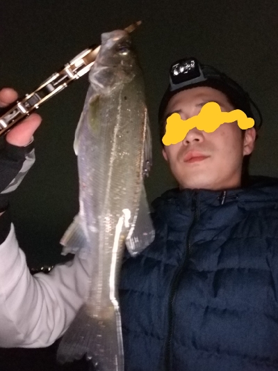 またもやチーバス