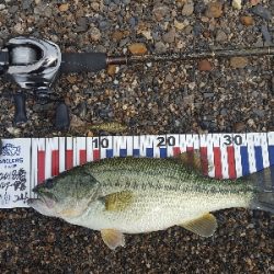 やっとやっとやっとの♪