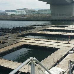 釣りポート田尻