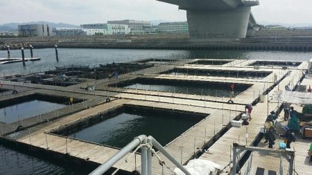 釣りポート田尻