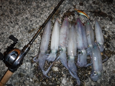 ライトエギング‼࿠…