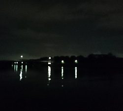 安定の花見川シーバス