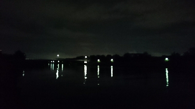 安定の花見川シーバス