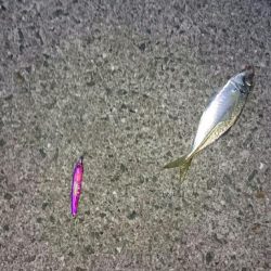 久しぶりの沖一文字