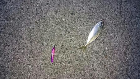 久しぶりの沖一文字