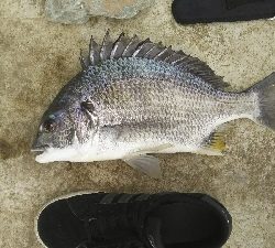 大津川 河口付近にて