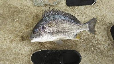 大津川 河口付近にて