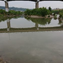 大阪 淀川水系