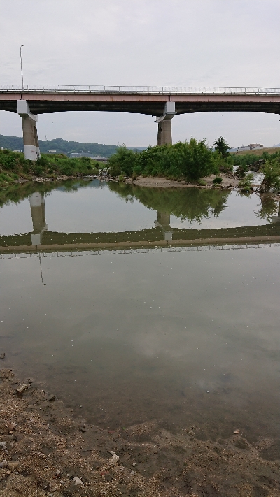 大阪 淀川水系
