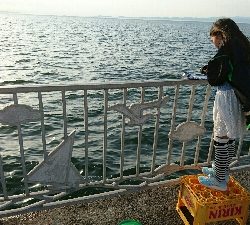 たまには子供と