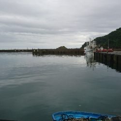 今年初のキス釣り