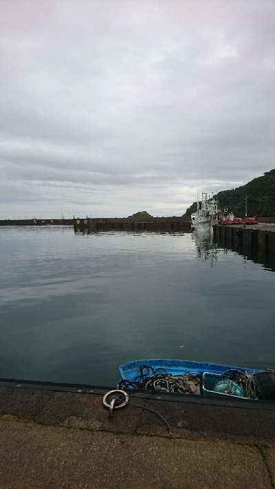 今年初のキス釣り