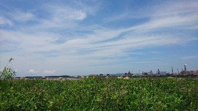 坊主逃れに・・・