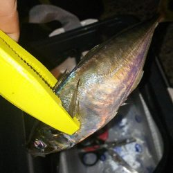 リベンジアジング！