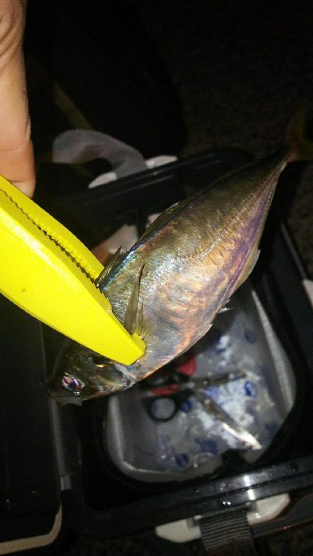 リベンジアジング！