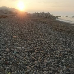 仁淀川河口サーフ ライトショアジギング