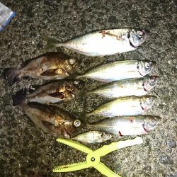 ライトゲーム！