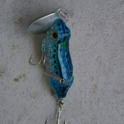 夕方のお楽しみ