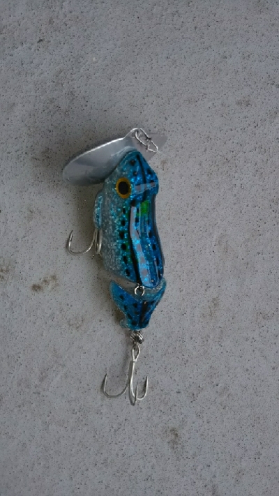 夕方のお楽しみ