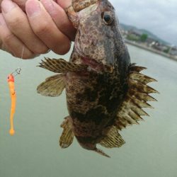 今日の釣果